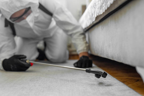 Professional Pest Control technician working in Wright County County, MO